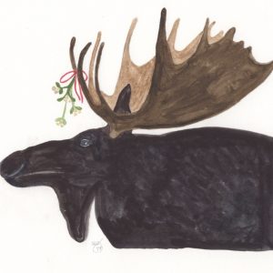 2027 Nature Notes Calendar