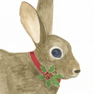 Western Cottontail