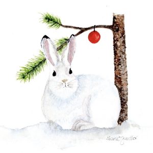 Christmas Cards